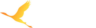 SARAS Insurance
